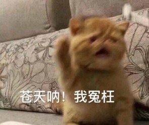 W020260811318769878681.png