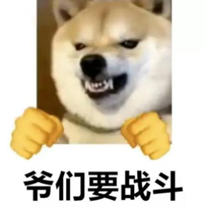 W020260811318769830720.png